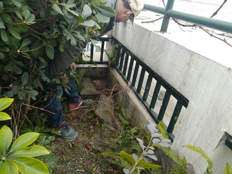 屋頂露臺(tái)看現(xiàn)場(chǎng)：如果防水師傅沒(méi)有檢驗(yàn)基層，直接就刷防水涂料的話(huà)，那么基層比較差，后期肯定會(huì)發(fā)生滲漏問(wèn)題的。當(dāng)然，有的朋友會(huì)說(shuō)，即便發(fā)生這種情況，后果也是該師傅來(lái)承擔(dān)的。但事實(shí)上，真的沒(méi)有人會(huì)希望發(fā)生問(wèn)題，畢竟在出現(xiàn)問(wèn)題之后，會(huì)給自己生活帶來(lái)很大的麻煩。