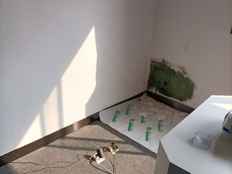 墻面局部修補施工:先將墻體破損凸出的地方鏟掉；取出從網(wǎng)上商城買的補墻膏補墻漆套裝；打開補墻膏，先攪拌均勻后，用小鏟抹少量補墻膏，填進坑洼起皮的部位，干燥24小時；隔天干后對墻體用砂紙打磨平整，用抹布把表面粉層擦拭掉；用補墻漆兌10%左右的水稀釋，攪拌均勻后用刷子涂在墻體上，進行2~3涂刷。